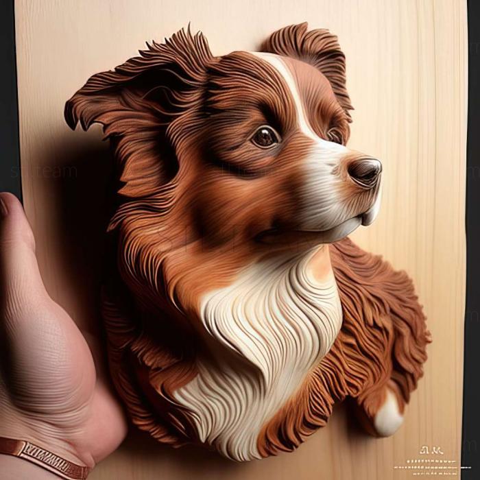 3D model Miniature American Shepherd dog (STL)